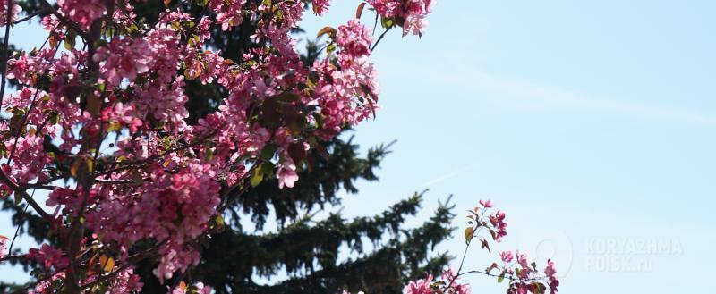 Фото: Коммуникационное агентство Медиа консалт