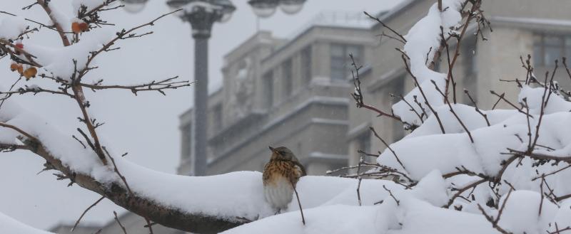 Фото: Коммуникационное агентство Медиа консалт