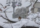 Фото: Коммуникационное агентство Медиа консалт