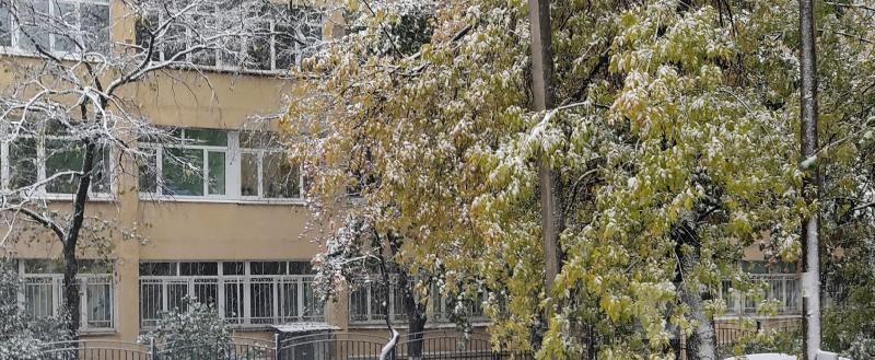 Фото: коммуникационное агентство Медиа консалт