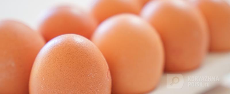 Фото: коммуникационное агентство Медиа консалт