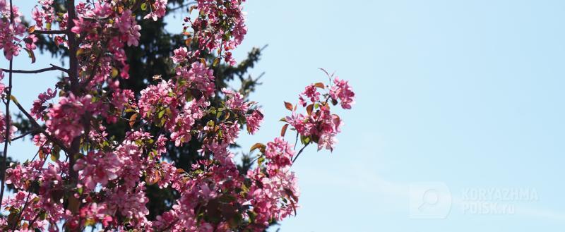 Фото: Коммуникационное агентство Медиа консалт