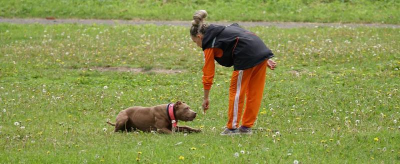Фото: Коммуникационное агентство Медиа консалт