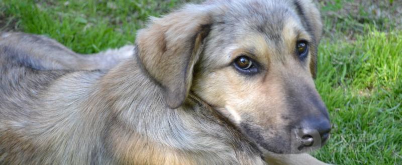 Фото: Коммуникационное агентство Медиа консалт