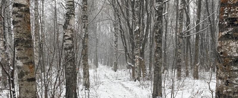 Фото: коммуникационное агентство Медиа консалт
