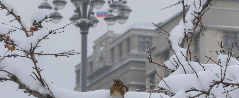 Фото: Коммуникационное агентство Медиа консалт