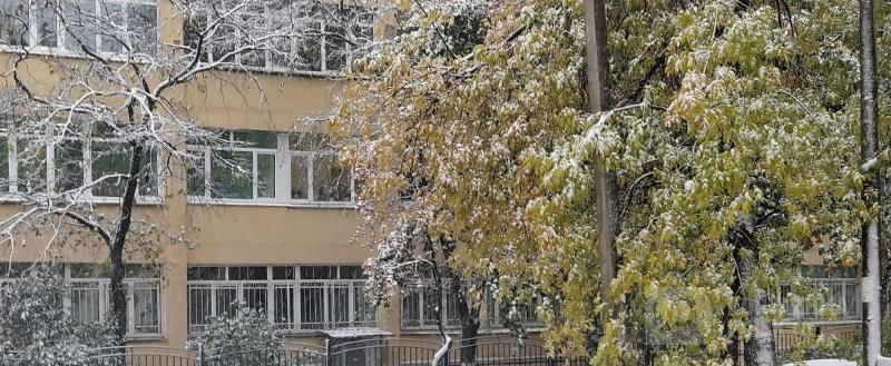 Фото: коммуникационное агентство Медиа консалт