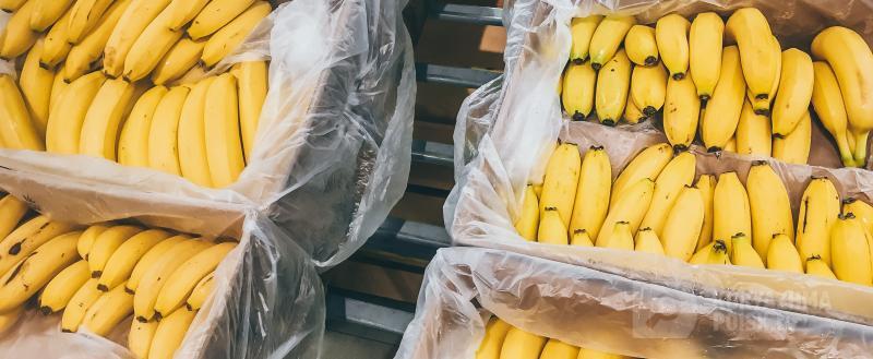 Фото: Коммуникационное агентство Медиа консалт