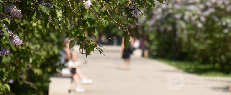 Фото: Коммуникационное агентство Медиа консалт