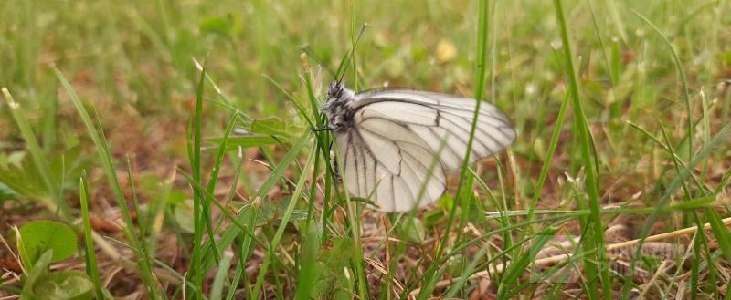 Фото: Коммуникационное агентство Медиа консалт