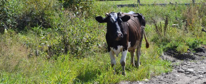 Фото: Коммуникационное агентство Медиа консалт