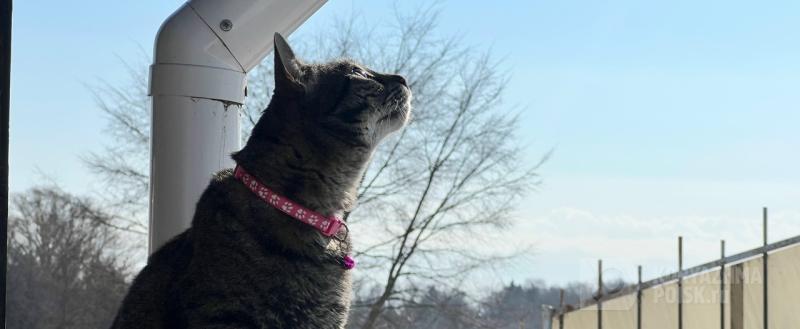 Фото: Коммуникационное агентство Медиа консалт