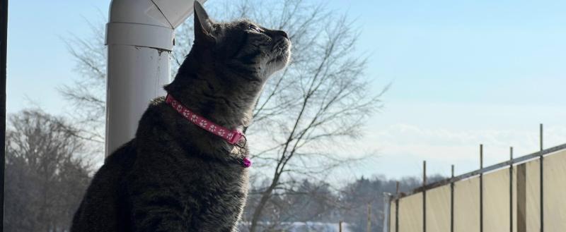 Фото: Коммуникационное агентство Медиа консалт