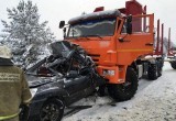 Трагическая авария в Поморье: лесовоз раздавил иномарку, двое погибших