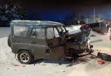 Семь человек ранены в аварии микроавтобуса с внедорожником в Поморье (ФОТО)