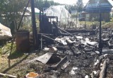 Пожар на третьих дачах в Коряжме случайно устроила 86-летняя пенсионерка