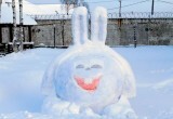 В колониях Архангельской области поселились снежные кролики