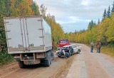 В Пинежском округе произошло лобовое столкновение легковушки и фуры