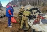 Срочный вызов: пожарные спасали водителя из перевернувшегося автомобиля в Коношском районе