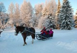 Новогоднее волшебство в «Малых Корелах»: музей-заповедник приглашает на программу «Весёлое Новогодие»