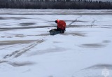 Пенсионер и его собака спасены из ледяной ловушки в Архангельской области