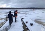 Пенсионер и его собака спасены из ледяной ловушки в Архангельской области