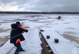 Пенсионер и его собака спасены из ледяной ловушки в Архангельской области