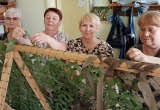 «Боевые Чебурашки» и маскировочные сети: жители Поморья шлют тепло сердец на фронт