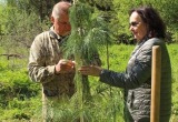 «Живой памятник Победе»: В Архангельске учёные высадили кедры в честь героев Великой Отечественной войны
